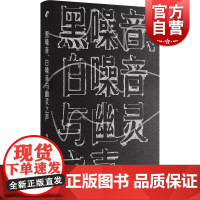 黑噪音白噪音与幽灵之声 姜宇辉著作上海文艺出版社