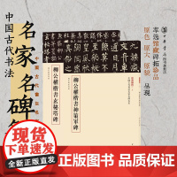 [全2册]柳公权楷书神策军碑+柳公权楷书玄秘塔碑 柳书柳体楷书 书法篆刻碑帖 中国古代书法名家名碑名本丛书 中华书局