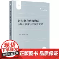 新型电力系统构建:市场化政策法律保障研究 冯华 李庆保主编 法政文库 能源法治与政策系列丛书 法律出版社