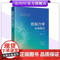 数据合规实务指引 朱晓娟主编 聚焦数据合规 紧跟规则步伐 法律出版社