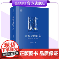 天下 看得见的正义 陈瑞华著 精装 法律出版社