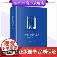 天下 看得见的正义 陈瑞华著 精装 法律出版社