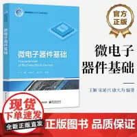 店 微电子器件基础 集成电路科学与工程系列教材 微电子器件基构特性原理进展测量方法书 王颖 等著 电子工业出版社