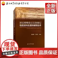 深层碳酸盐岩岩溶储层地震资料处理和解释技术 戴晓峰,甘利灯 著
