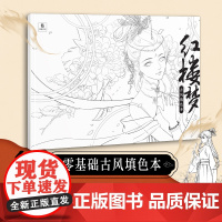 红楼梦 古风填色本 30幅原创精美图例 东方韵味动漫人物彩铅上色线稿 成人解压填色绘本 漫画手绘描摹本 儿童零基础涂鸦填