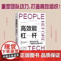 [正版书籍]高效能杠杆:数字化时代的心理安全与团队协作 释放团队潜能,实现组织竞争力!重塑团队动力,打造高效组织!