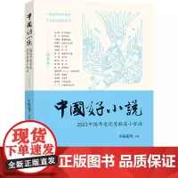 中国好小说.短篇卷:2023中国年度优秀短篇小说选 小说选刊选编 中国当代短篇小说优秀作家文学作品集周大新乔叶于晓威等中