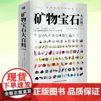 正版 矿物宝石大百科 180+种矿物 1000+张精美图片 地球上的矿物解说 一座随身携带的地质博物馆一本寻宝鉴宝指