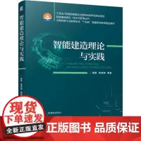 智能建造理论与实践 杨琳 吴贤国 编著