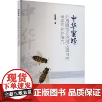 中华蜜蜂外周嗅觉系统相关蛋白的鉴定与功能研究 赵慧婷 著 畜牧/养殖专业科技 正版图书籍 中国农业科学技术出版社