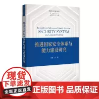 推进国家安全体系与能力建设研究 李翔 北京大学店正版