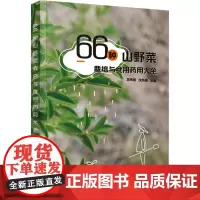 66种山野菜栽培与食用药用大全 吴伟刚,沈凤英 编 饮食文化书籍专业科技 正版图书籍 化学工业出版社