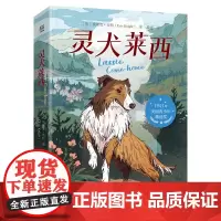 灵犬莱西 埃里克·奈特著 没有什么可以阻挡 一只忠犬回家的步伐 也是有史以来催人泪下的狗狗故事之一 博集天卷 新书45天