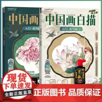 中国画白描入门 花鸟篇1,2 同步视频 工笔花鸟画入门 花卉禽鸟 局部分解完整作品 国画白描底稿临摹 勾线运笔 工笔白描