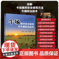 牛场兽药安全使用与牛病防治技术 牛病防治及安全用药指导 牛场兽药手册 牛场疾病防治技术牛病诊疗处方97871224441