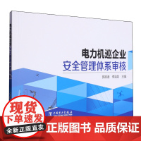 电力机巡企业安全管理体系审核