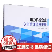 电力机巡企业安全管理体系审核