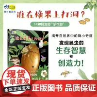 谁在橡果上打洞? : 14种昆虫的“恶作剧”,探索身边的大自然,揭开自然界中的微小奇迹,发现昆虫的生存智慧和创造力!小天