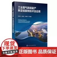 工业烟气脱硫副产焦亚硫酸钠技术及应用 工业烟气脱硫资源化处理技术与设备 烟气脱硫脱硝 高等学校环境化工冶金等专业应用教材