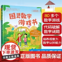 图灵数字游戏书 艾伦 图灵数学特色全脑开发游戏书6-12岁儿童小学生课外阅读数字游戏代码破解谜题观察力数字认知能力培养