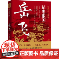 精忠报国 岳飞 丁振宇 著 历史人物文学 正版图书籍 华中科技大学出版社