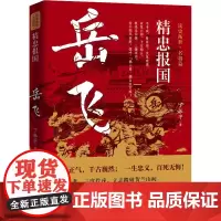 精忠报国 岳飞 丁振宇 著 历史人物文学 正版图书籍 华中科技大学出版社