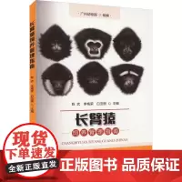 长臂猿饲养管理指南 陈武,李梅荣,白亚丽 编 中国农业出版社9787109308466