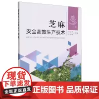 芝麻安全高效生产技术 卫双玲 高桐梅 著 中国农业出版社 9787109308954