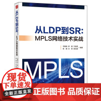 从LDP到SR:MPLS网络技术实战