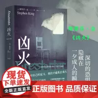 正版 凶火 2024新版 斯蒂芬金 以女儿为原型科幻悬疑小说书籍 外国现当代文学小说侦探推恐怖惊悚小说 现代恐怖小说书