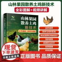 彩色图解视频升级版 山林果园散养土鸡新技术 魏刚才主编 9787122442079