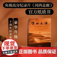 河西走廊 《河西走廊》摄制组 全彩高清图 央视高分纪录片图书 梳理河西走廊两千年历史脉络 文案之神 作文 果麦文化
