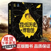 QHL昆虫历史博物馆 昆虫百科全书昆虫标本彩图小学生一二三年级阅读课外书籍昆虫记精装硬壳科普类书籍昆虫动物图鉴虫珀科普绘