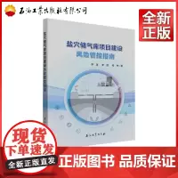 盐穴储气库项目建设风险管控指南 李龙,李超,程林 著