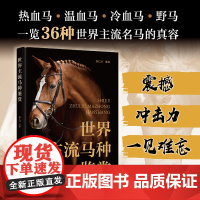 世界主流马种鉴赏 历史起源身体结构性格特点用途与马相关运动 热血马温血马冷血马野马 养马者马爱好者马术运动爱好者科普读物