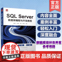 正版 SQL Server 数据库编程与开发教程 数据库设计与开发方向初学者程序开发人员阅读书 高等院校计算机软件开发相