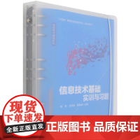 信息技术基础实训与习题