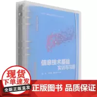 信息技术基础实训与习题
