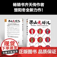 [余杭新华正版]梁山无好汉 楚阳冬2024重磅新作 看懂梁山好汉排名背后的权力游戏 水浒传 四大名著 江苏凤凰文艺出版现