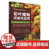 彩叶植物识别与应用/美丽中国园林美化绿化丛书 史宝胜,纪殿荣,纪惠芳 编 中国农业出版社9787109315709