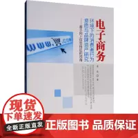 电子商务环境下的消费者行为意愿与品牌资产研究——基于网上信息特征的视角 李亮 著 社会科学其它经管、励志