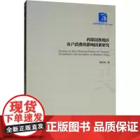 西部民族地区农户消费的影响因素研究 向其凤 著 社会科学其它经管、励志 正版图书籍 经济管理出版社