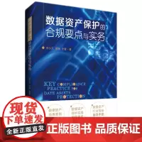 数据资产保护的合规要点与实务 9787577205113 创新企业知识产权理论与实务丛书