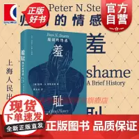 羞耻规训的情感 光启情感史美国彼得N斯特恩斯光启书局耻感文化羞耻治理术羞辱文化史荣誉心理学社会史生命政治世界史情感史
