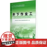 井下作业工 中国石油天然气集团公司职业技能鉴定指导中心 编 石油 天然气工业专业科技 正版图书籍 石油工业出版社