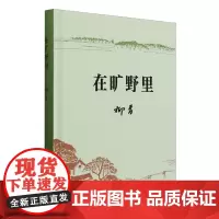 [余杭新华正版图书]在旷野里 精装书 柳青著