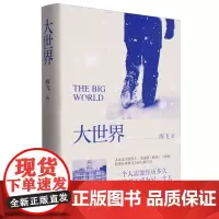 大世界(精) 人民文学奖得主海飞著 为无名英雄写书 这是一部孤独之书 也是一部希望之书 暗战特工悬疑谍战长篇小说正版书籍