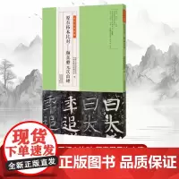 [书]原石拓本比对:颜真卿元次山碑金石拓本典藏 中国人民政治协商会议河南省鲁山县委员会 河南美术出版社有限公司书籍