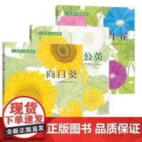 全3册一粒种子的旅行程行系列牵牛花书向日葵植物绘本3-6周岁科普百科关于花的书籍幼儿园宝宝睡前阅读图书亲子启蒙认知爱心树