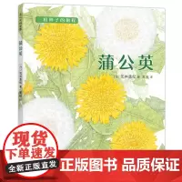 爱心树蒲公英绘本一粒种子的旅程儿童故事书幼儿园3-6-8周岁科普百科自然植物学宝宝睡前阅读物图书亲子启蒙认知成长书籍课外